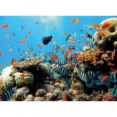 Mural Fotomurales Wall Ref. M-4-005VE