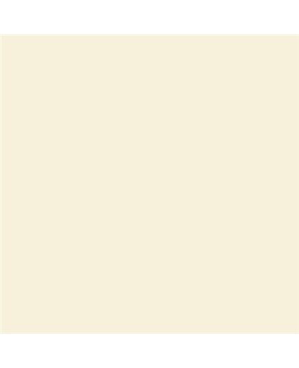 Color NCS  - S-0505-Y