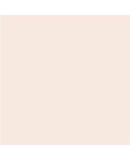 Color NCS  - S-0505-Y70R