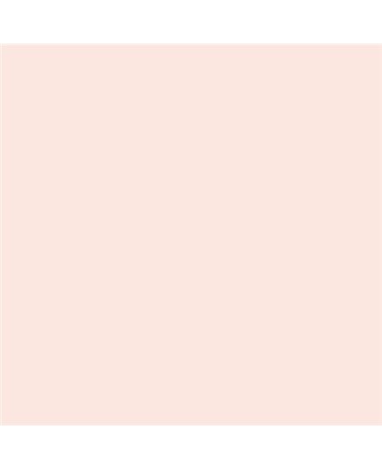 Color NCS  - S-0507-Y80R