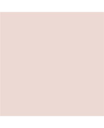 Color NCS  - S-0907-Y90R