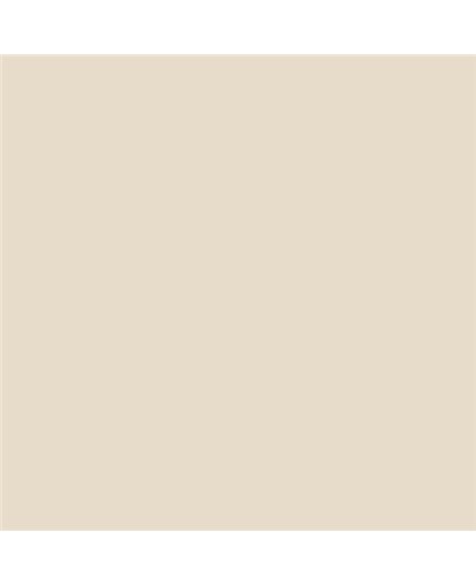 Color NCS  - S-1005-Y40R