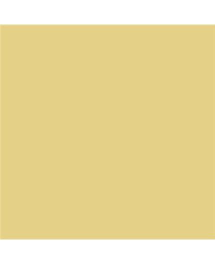 Color NCS  - S-1030-Y