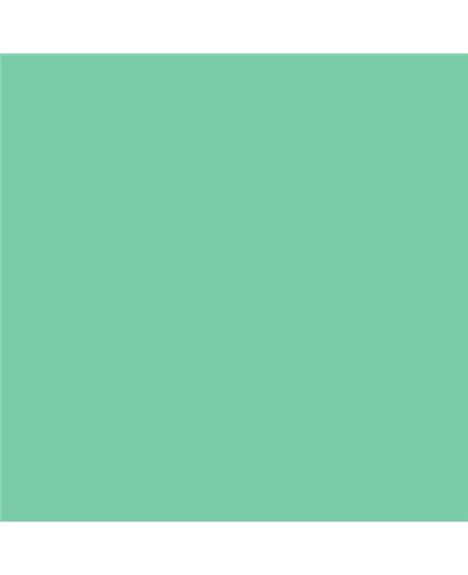 Color NCS  - S-1040-G
