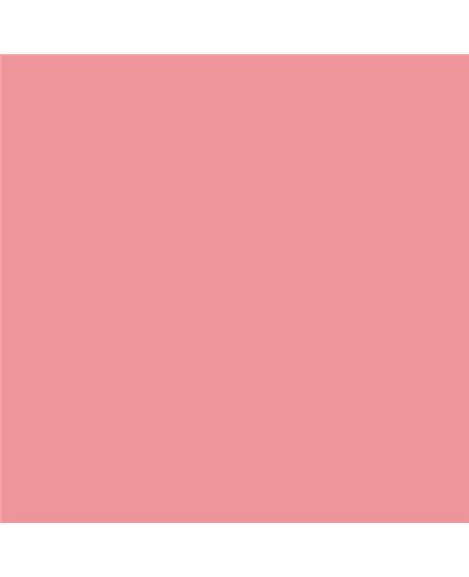 Color NCS  - S-1040-R