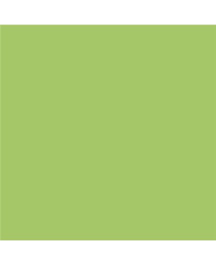 Color NCS  - S-1050-G40Y