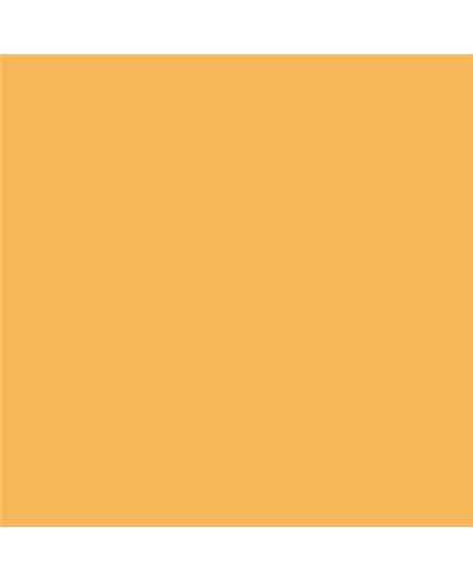 Color NCS  - S-1050-Y20R