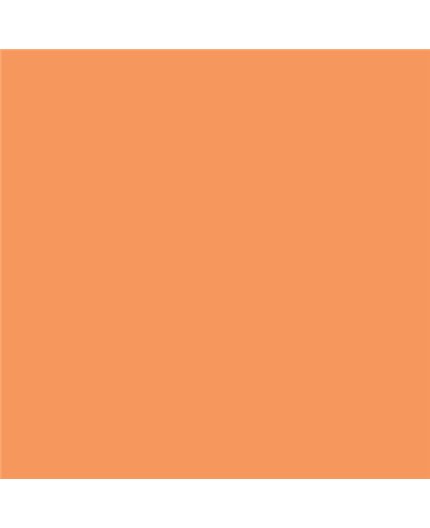 Color NCS  - S-1050-Y50R