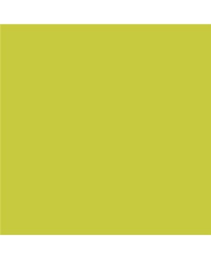 Color NCS  - S-1060-G70Y