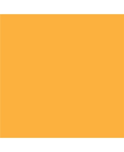 Color NCS  - S-1060-Y20R