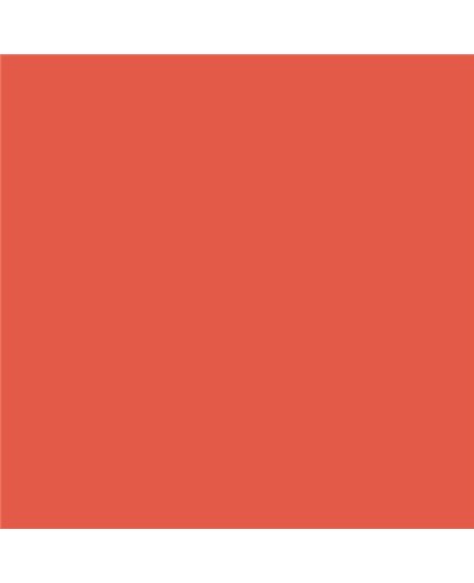 Color NCS  - S-1070-Y80R