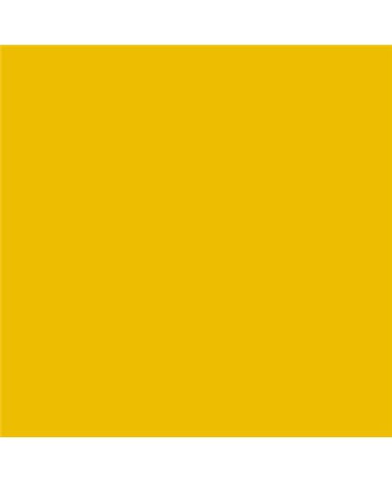 Color NCS  - S-1080-Y