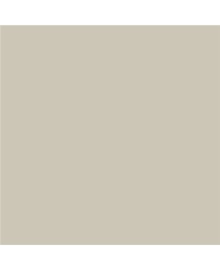 Color NCS  - S-2005-Y