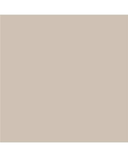 Color NCS  - S-2005-Y30R