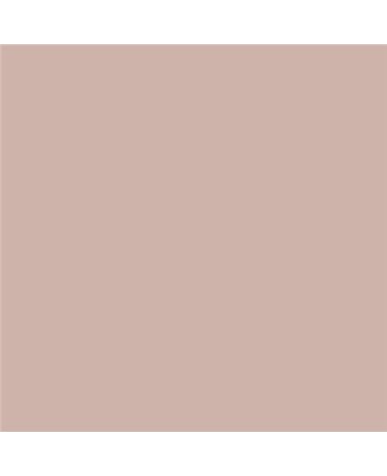 Color NCS  - S-2010-Y80R
