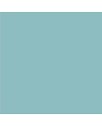 Color NCS  - S-2020-B40G