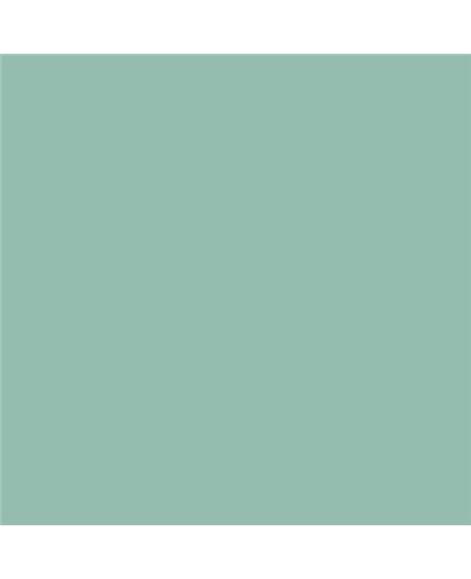 Color NCS  - S-2020-B90G