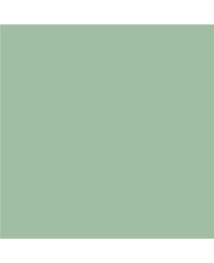Color NCS  - S-2020-G10Y