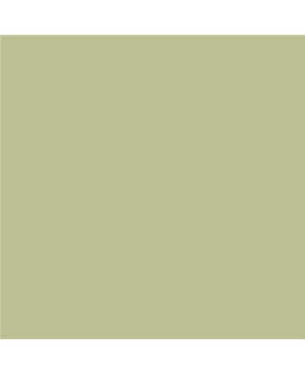 Color NCS  - S-2020-G60Y