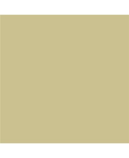 Color NCS  - S-2020-G90Y