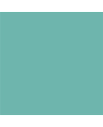 Color NCS  - S-2030-B70G