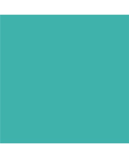 Color NCS  - S-2040-B60G