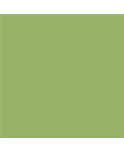 Color NCS  - S-2040-G40Y
