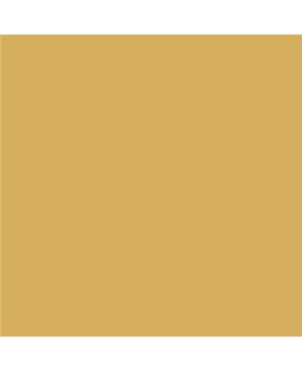 Color NCS  - S-2040-Y10R