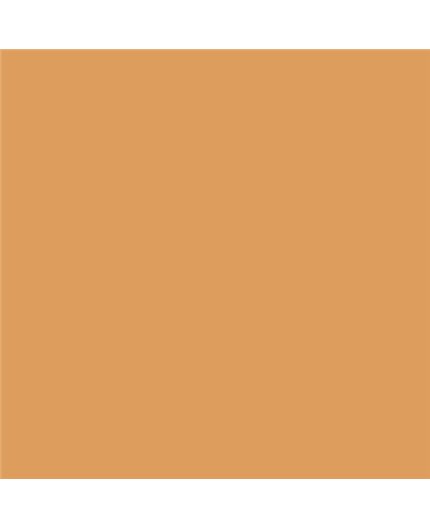 Color NCS  - S-2040-Y30R