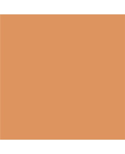 Color NCS  - S-2040-Y40R