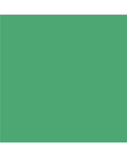 Color NCS  - S-2050-G10Y