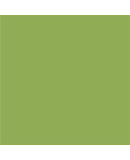 Color NCS  - S-2050-G40Y