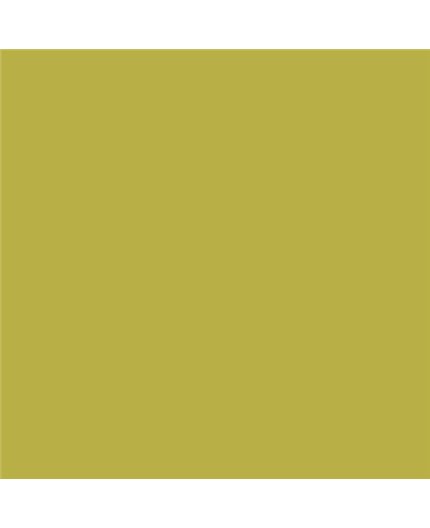 Color NCS  - S-2050-G80Y