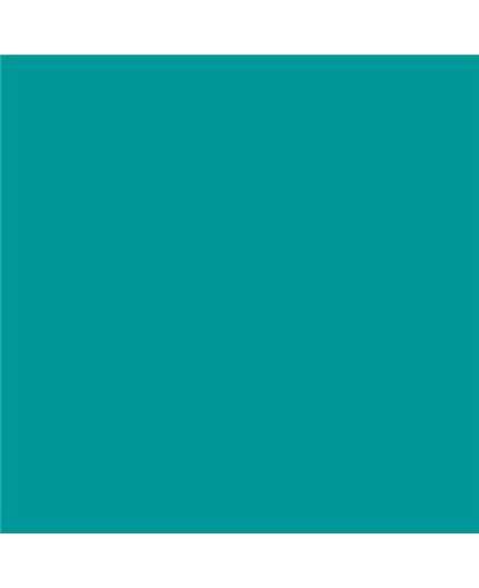 Color NCS  - S-2060-B50G