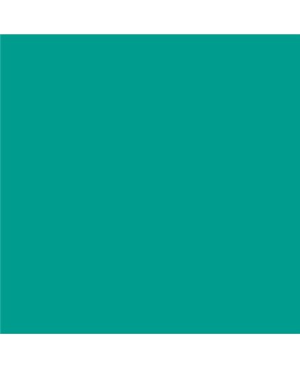 Color NCS  - S-2060-B70G
