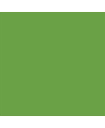 Color NCS  - S-2060-G30Y