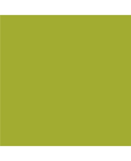 Color NCS  - S-2060-G60Y