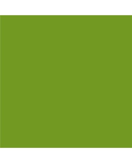 Color NCS  - S-2070-G40Y