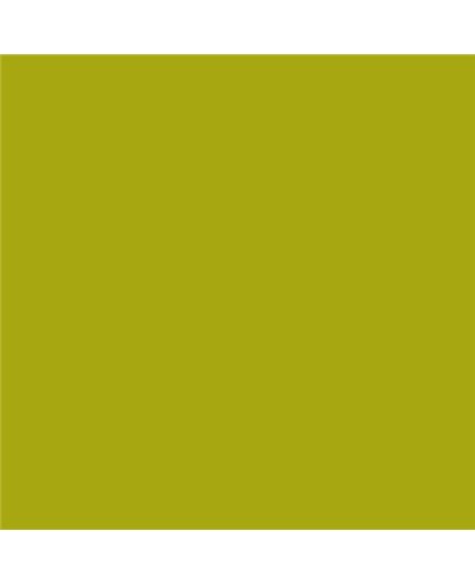 Color NCS  - S-2070-G70Y