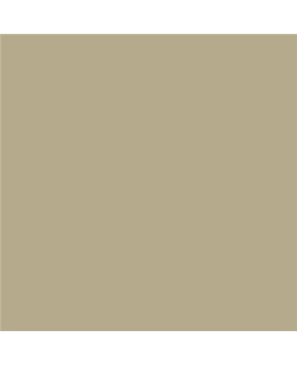 Color NCS  - S-3010-Y