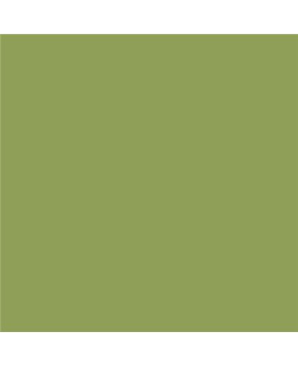 Color NCS  - S-3040-G50Y