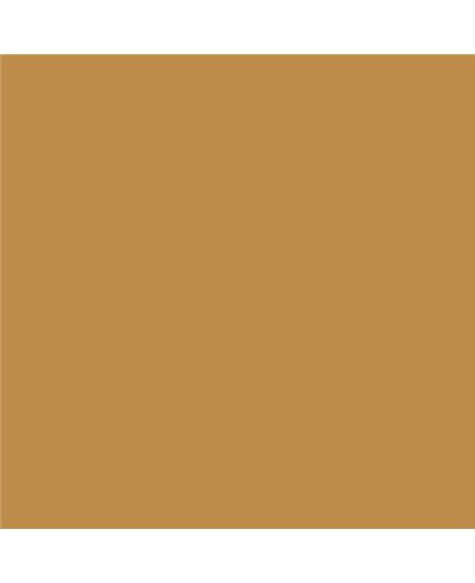 Color NCS  - S-3040-Y20R