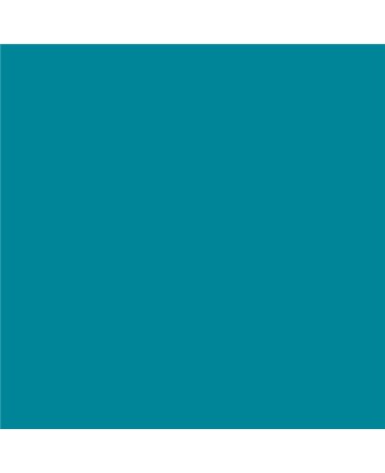 Color NCS  - S-3050-B20G