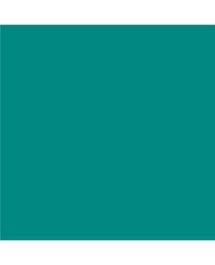 Color NCS  - S-3050-B60G