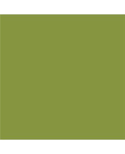 Color NCS  - S-3050-G50Y