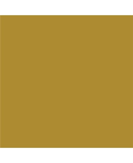 Color NCS  - S-3050-Y