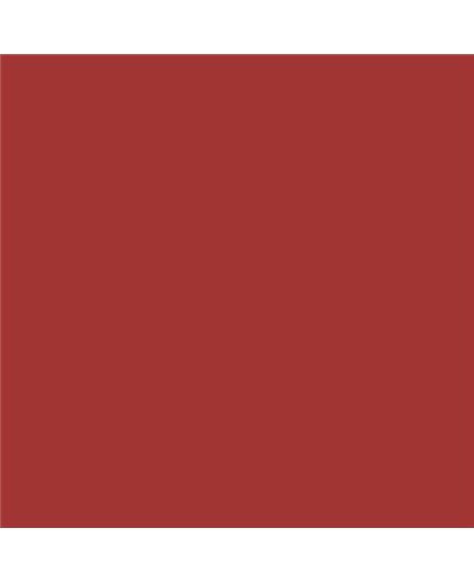 Color NCS  - S-3060-Y90R
