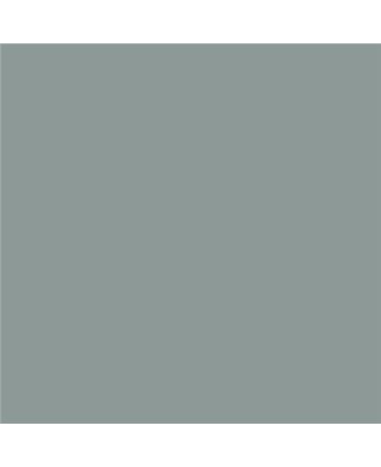 Color NCS  - S-4005-B80G