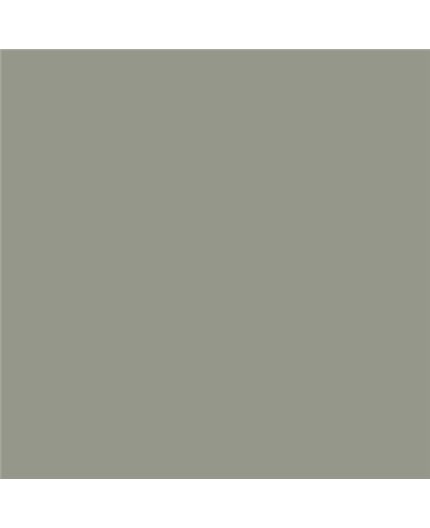 Color NCS  - S-4005-G50Y