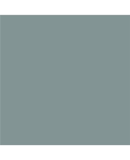 Color NCS  - S-4010-B50G